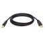TrippLite 6ft USB 2.0 Gold Cable